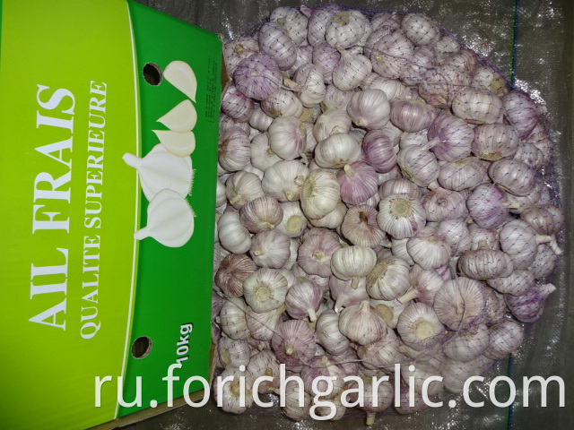 New Garlic